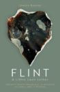 Flint - Preview