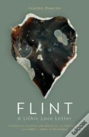 Capa do artigo Flint