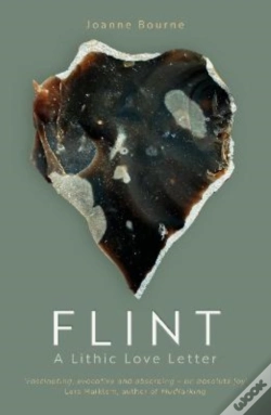 Capa do artigo Flint