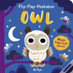 Capa do artigo Flip-Flap-Peekaboo: Owl