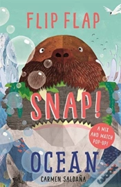 Capa do artigo Flip Flap Snap: Ocean