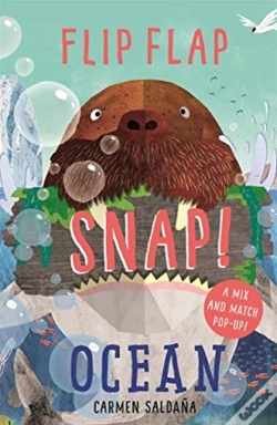 Capa do artigo Flip Flap Snap: Ocean