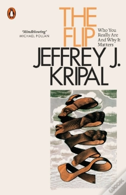 Capa do artigo Flip
