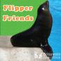 Flipper Friends - Preview