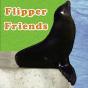 Flipper Friends - Preview