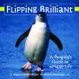 Flipping Brilliant - Preview