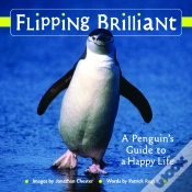 Capa do artigo Flipping Brilliant