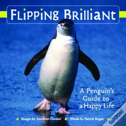Capa do artigo Flipping Brilliant