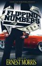 Flipping Numbers - Preview