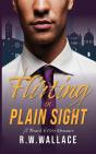Flirting In Plain Sight - Preview