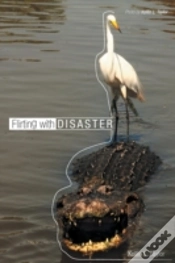 Capa do artigo Flirting With Disaster