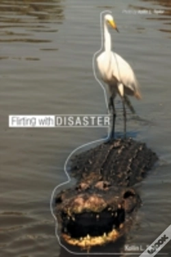 Capa do artigo Flirting With Disaster