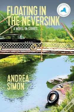 Capa do artigo Floating In The Neversink