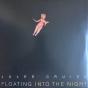 Floating Into The Night - Vinil - Preview