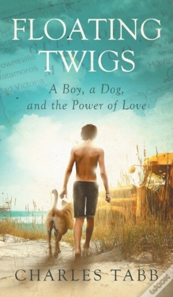 Capa do artigo Floating Twigs