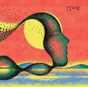 Capa do artigo Flock - CD