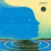 Capa do artigo Flock II - Vinil