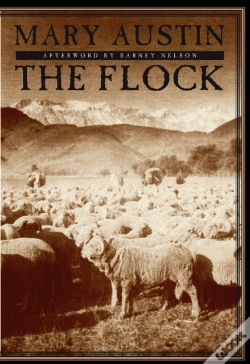 Capa do artigo Flock