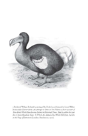 Flock Together - Preview