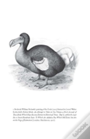 Capa do artigo Flock Together