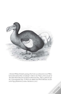 Capa do artigo Flock Together
