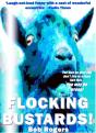 Flocking Bustards! - Preview