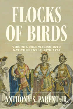 Capa do artigo Flocks Of Birds