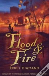 Capa do artigo Flood And Fire