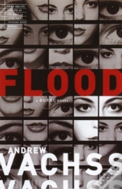 Capa do artigo Flood