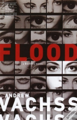 Capa do artigo Flood