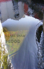 Flood - Preview