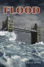 Flood - Preview