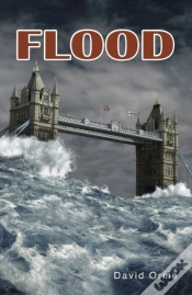 Capa do artigo Flood