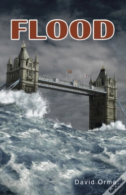 Capa do artigo Flood