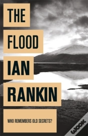 Capa do artigo Flood