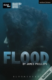 Capa do artigo Flood