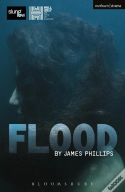Capa do artigo Flood