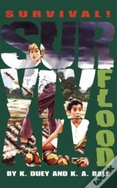 Flood