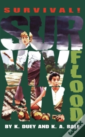 Capa do artigo Flood