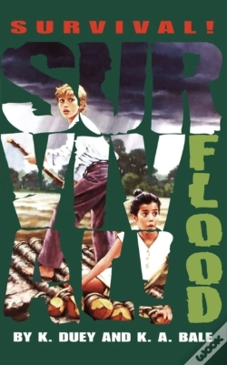 Capa do artigo Flood