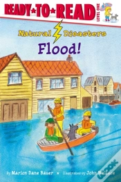 Capa do artigo Flood!