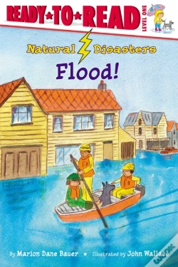 Capa do artigo Flood!