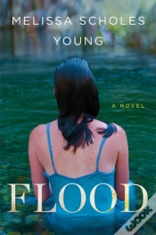 Capa do artigo Flood