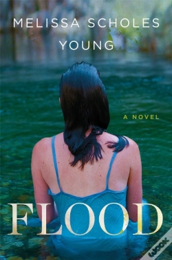 Capa do artigo Flood