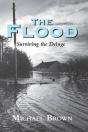 Flood - Preview