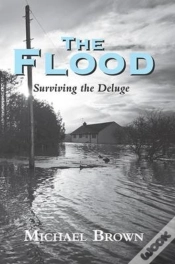 Capa do artigo Flood