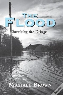 Capa do artigo Flood
