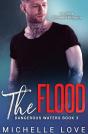 Flood - Preview
