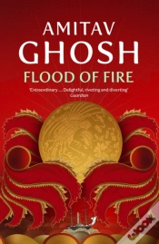 Capa do artigo Flood Of Fire