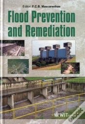 Capa do artigo Flood Prevention And Remediation
